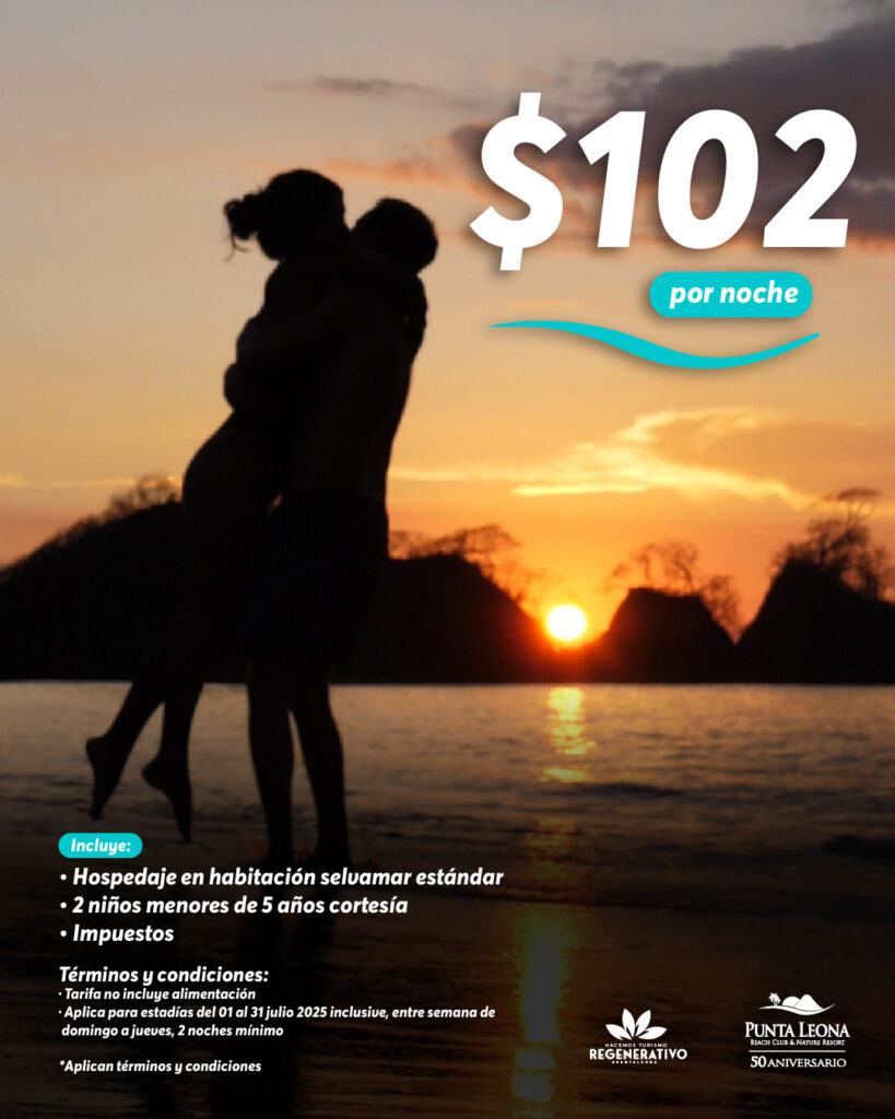 Promoción habitación Selvamar estándar