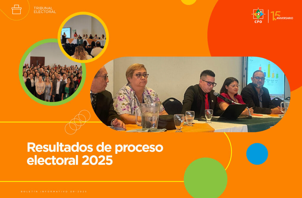 Resultados del proceso electoral 2025