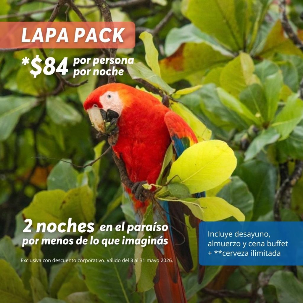 Lapa Pack por $84